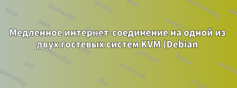 Медленное интернет-соединение на одной из двух гостевых систем KVM (Debian)