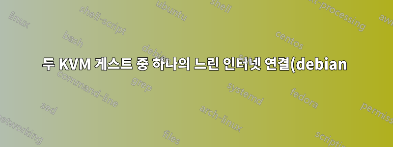 두 KVM 게스트 중 하나의 느린 인터넷 연결(debian)
