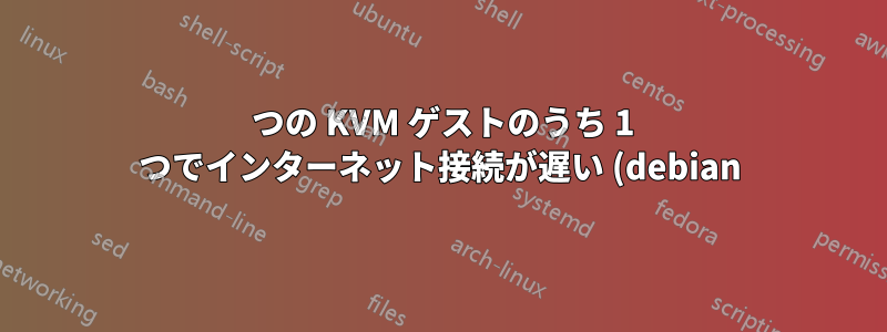 2 つの KVM ゲストのうち 1 つでインターネット接続が遅い (debian)