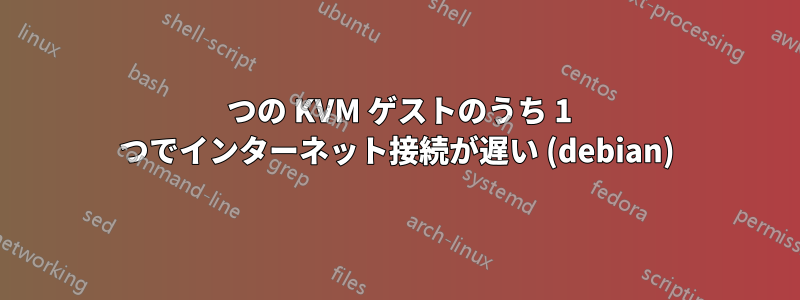 2 つの KVM ゲストのうち 1 つでインターネット接続が遅い (debian)