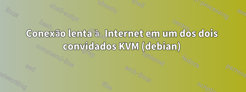 Conexão lenta à Internet em um dos dois convidados KVM (debian)