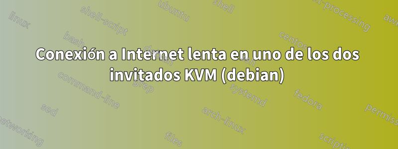 Conexión a Internet lenta en uno de los dos invitados KVM (debian)