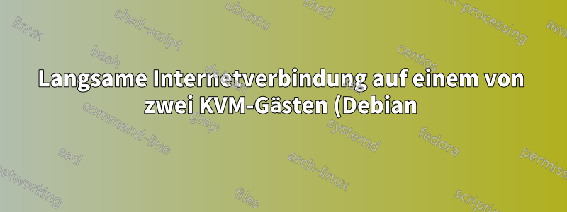 Langsame Internetverbindung auf einem von zwei KVM-Gästen (Debian)