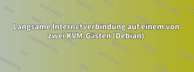 Langsame Internetverbindung auf einem von zwei KVM-Gästen (Debian)