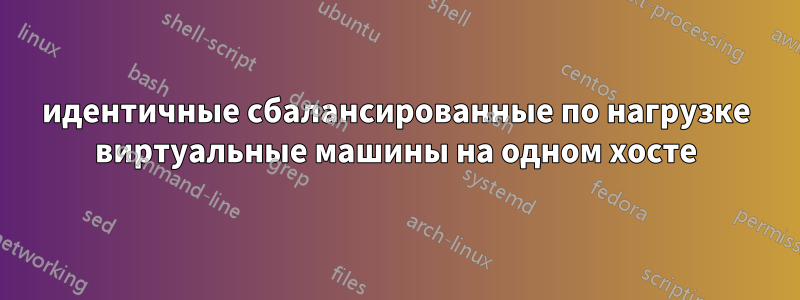 идентичные сбалансированные по нагрузке виртуальные машины на одном хосте