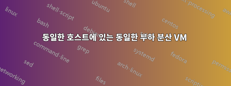 동일한 호스트에 있는 동일한 부하 분산 VM