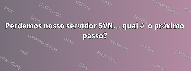 Perdemos nosso servidor SVN... qual é o próximo passo?