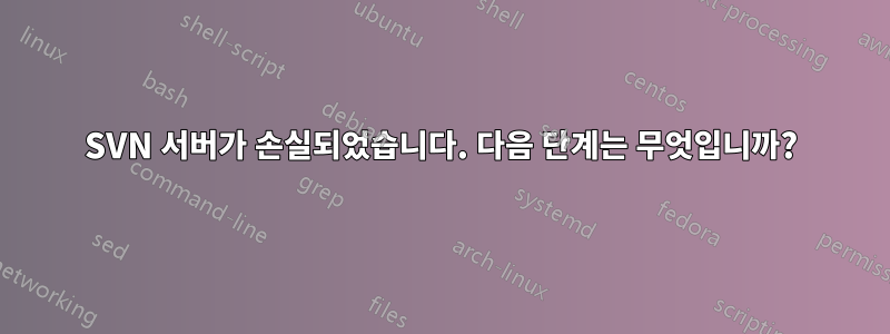 SVN 서버가 손실되었습니다. 다음 단계는 무엇입니까?