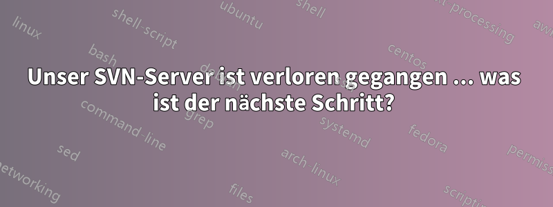 Unser SVN-Server ist verloren gegangen ... was ist der nächste Schritt?