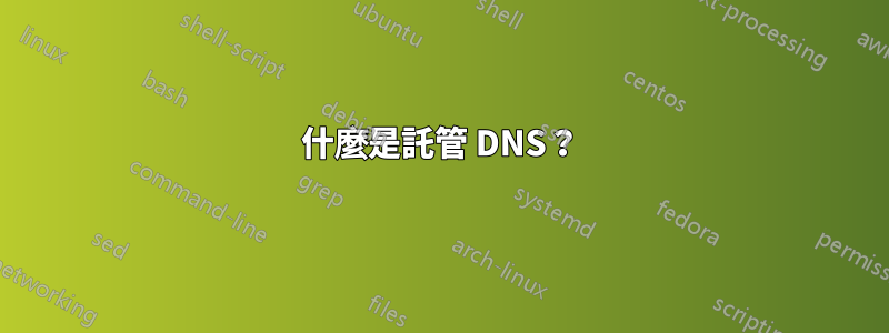 什麼是託管 DNS？