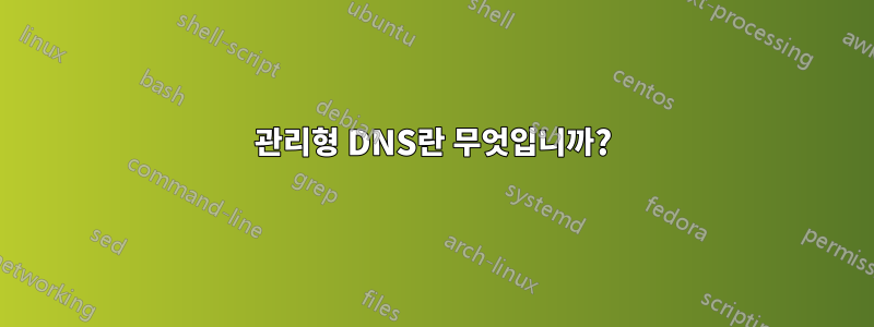 관리형 DNS란 무엇입니까?