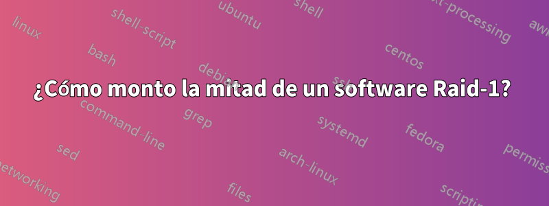 ¿Cómo monto la mitad de un software Raid-1?