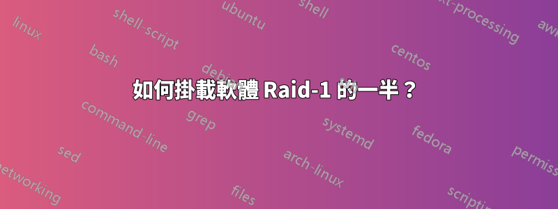 如何掛載軟體 Raid-1 的一半？