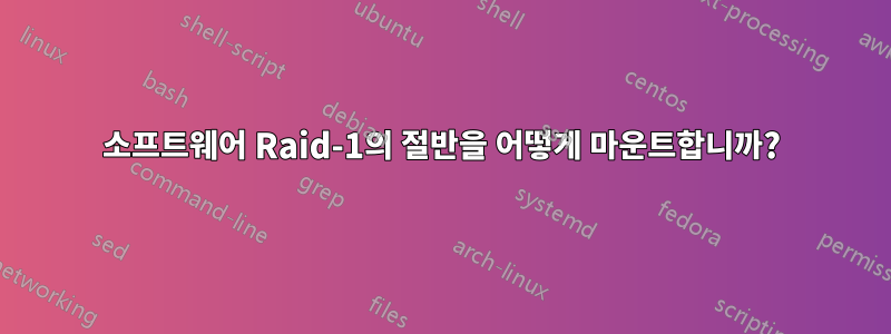 소프트웨어 Raid-1의 절반을 어떻게 마운트합니까?