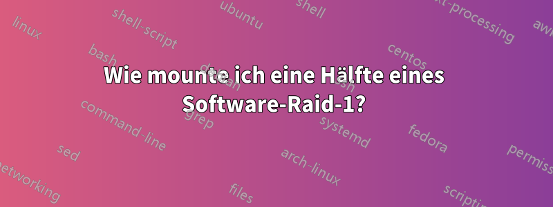 Wie mounte ich eine Hälfte eines Software-Raid-1?