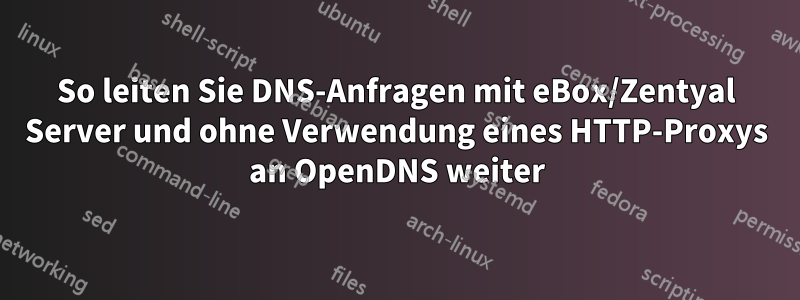 So leiten Sie DNS-Anfragen mit eBox/Zentyal Server und ohne Verwendung eines HTTP-Proxys an OpenDNS weiter