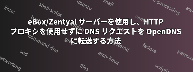 eBox/Zentyal サーバーを使用し、HTTP プロキシを使用せずに DNS リクエストを OpenDNS に転送する方法