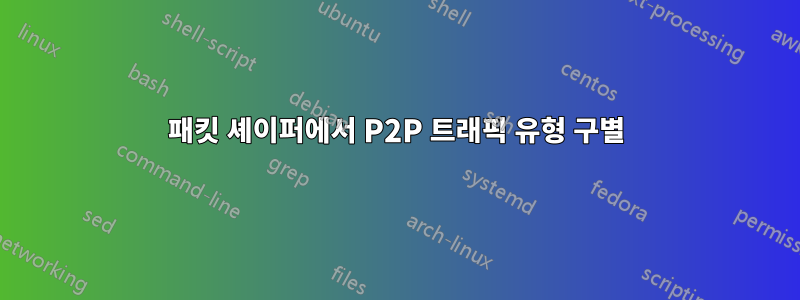 패킷 셰이퍼에서 P2P 트래픽 유형 구별