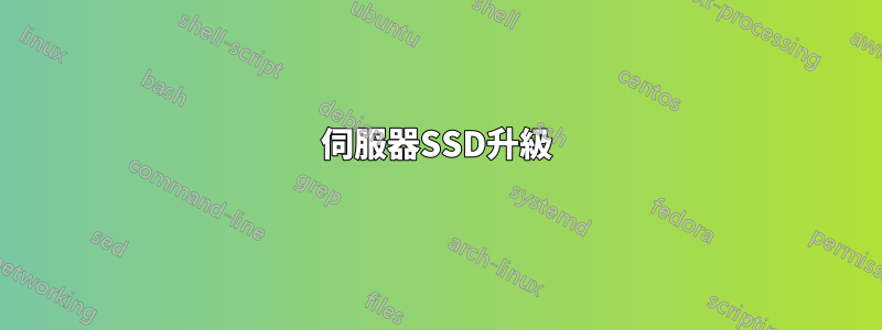 伺服器SSD升級