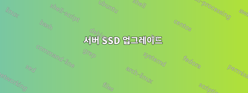 서버 SSD 업그레이드