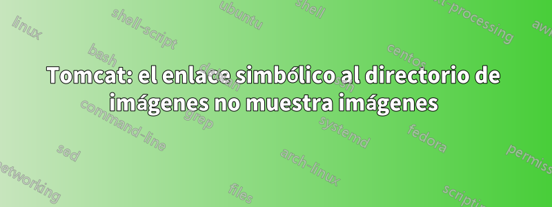 Tomcat: el enlace simbólico al directorio de imágenes no muestra imágenes