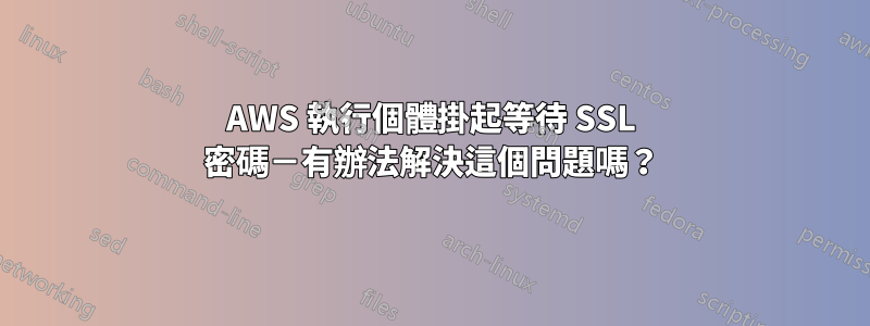 AWS 執行個體掛起等待 SSL 密碼－有辦法解決這個問題嗎？