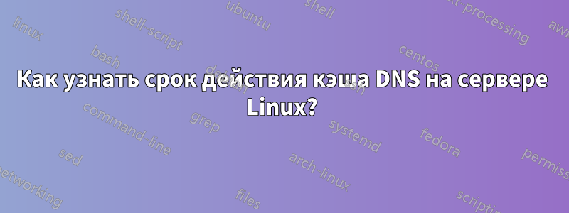 Как узнать срок действия кэша DNS на сервере Linux?