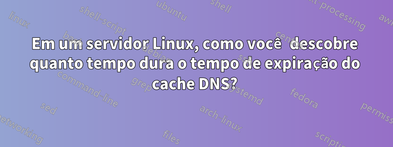 Em um servidor Linux, como você descobre quanto tempo dura o tempo de expiração do cache DNS?