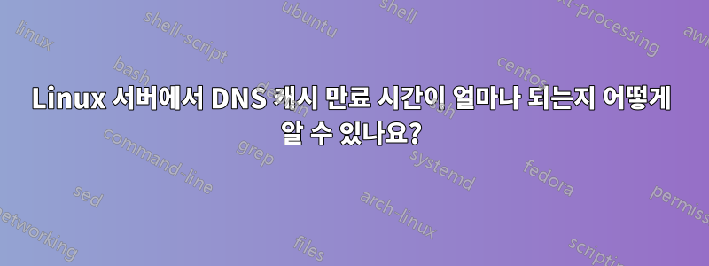 Linux 서버에서 DNS 캐시 만료 시간이 얼마나 되는지 어떻게 알 수 있나요?