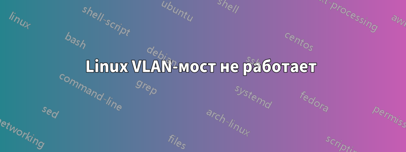 Linux VLAN-мост не работает