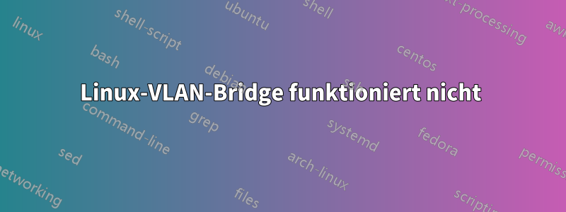 Linux-VLAN-Bridge funktioniert nicht