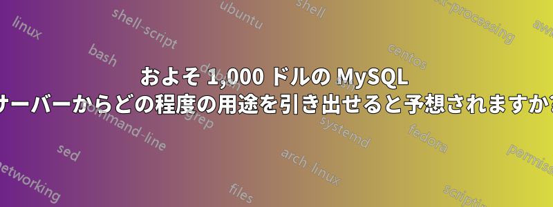 およそ 1,000 ドルの MySQL サーバーからどの程度の用途を引き出せると予想されますか?