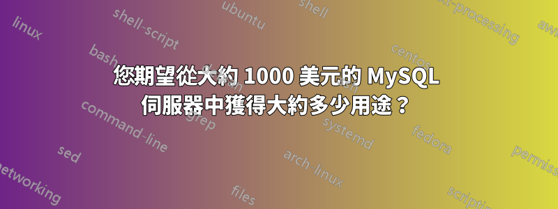 您期望從大約 1000 美元的 MySQL 伺服器中獲得大約多少用途？