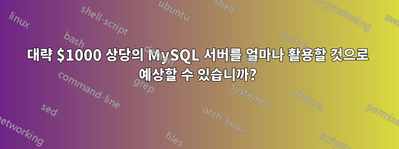 대략 $1000 상당의 MySQL 서버를 얼마나 활용할 것으로 예상할 수 있습니까?