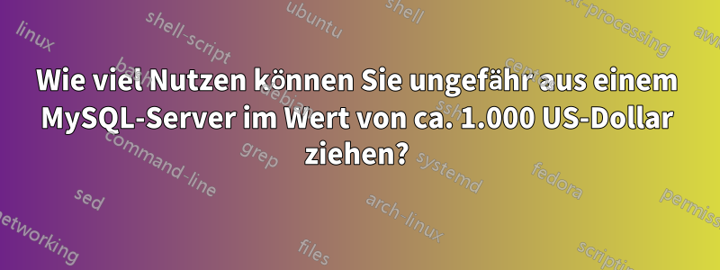 Wie viel Nutzen können Sie ungefähr aus einem MySQL-Server im Wert von ca. 1.000 US-Dollar ziehen?