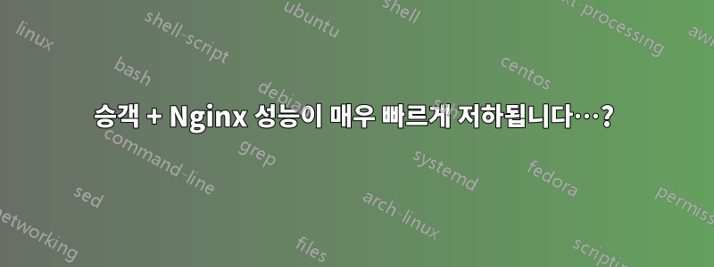 승객 + Nginx 성능이 매우 빠르게 저하됩니다…?