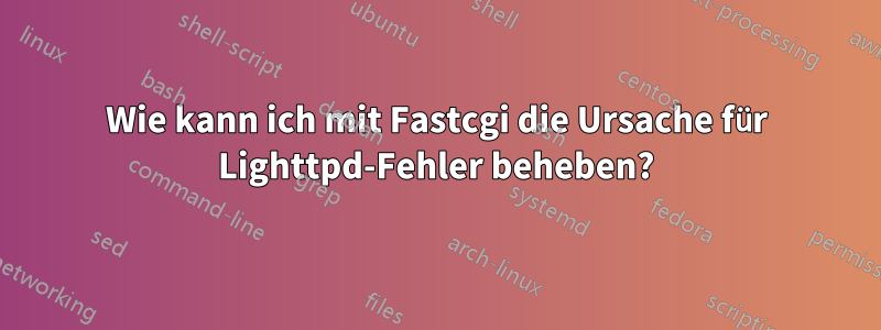 Wie kann ich mit Fastcgi die Ursache für Lighttpd-Fehler beheben?