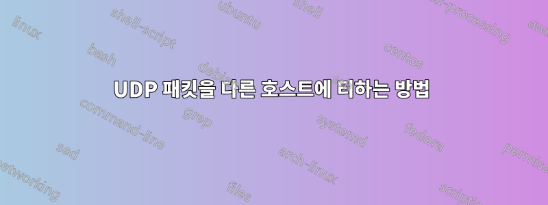 UDP 패킷을 다른 호스트에 티하는 방법
