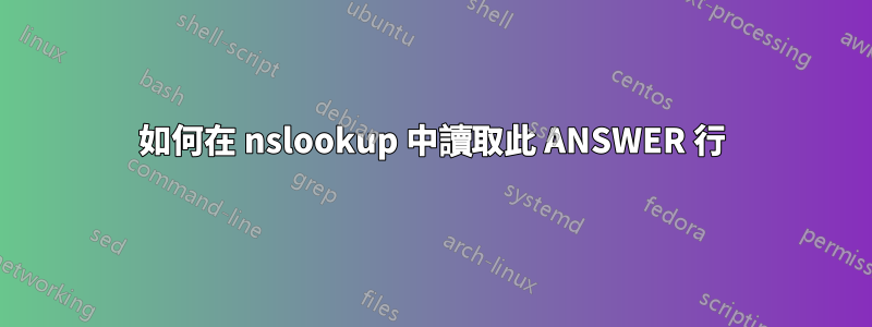 如何在 nslookup 中讀取此 ANSWER 行