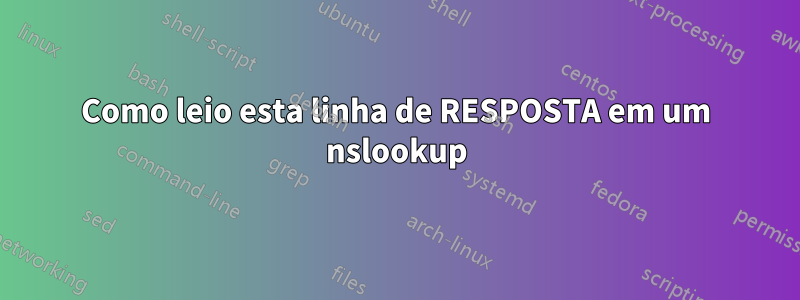 Como leio esta linha de RESPOSTA em um nslookup