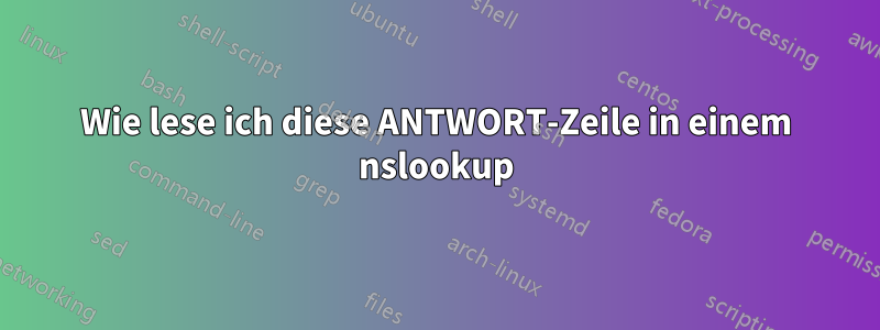 Wie lese ich diese ANTWORT-Zeile in einem nslookup