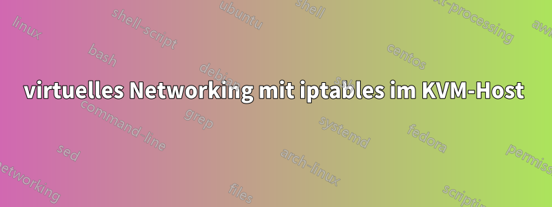 virtuelles Networking mit iptables im KVM-Host