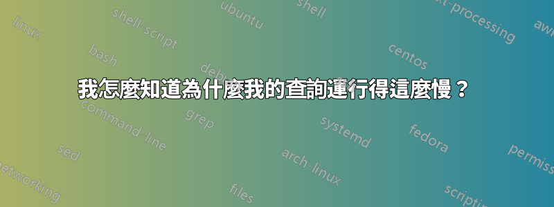 我怎麼知道為什麼我的查詢運行得這麼慢？