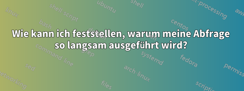Wie kann ich feststellen, warum meine Abfrage so langsam ausgeführt wird?