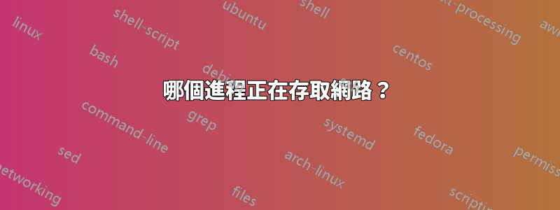 哪個進程正在存取網路？