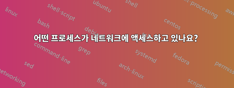 어떤 프로세스가 네트워크에 액세스하고 있나요?