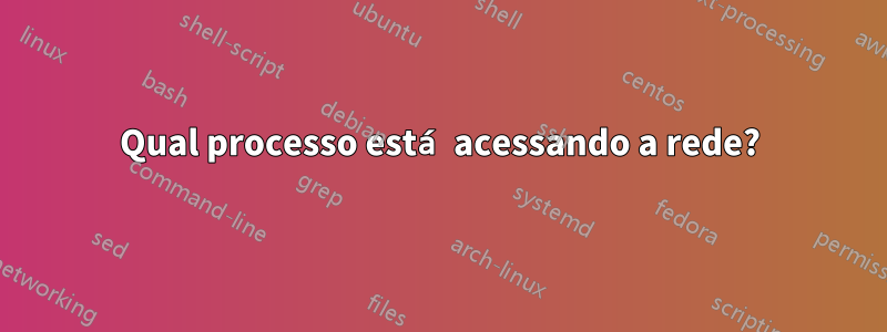 Qual processo está acessando a rede?