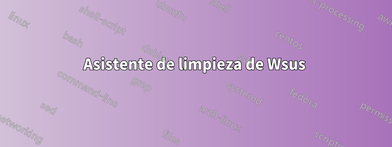 Asistente de limpieza de Wsus