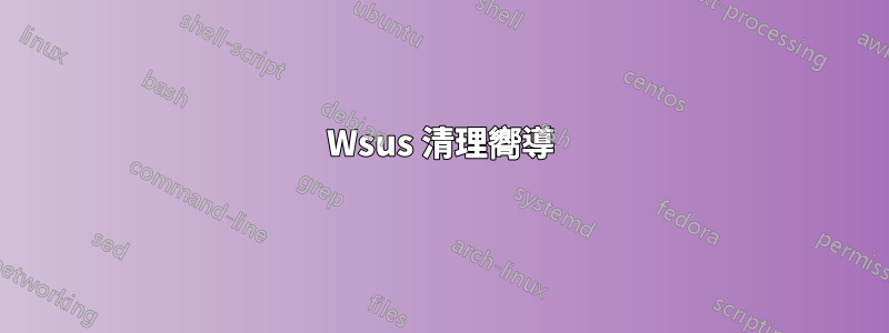 Wsus 清理嚮導