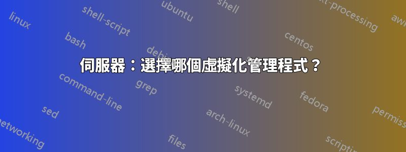 伺服器：選擇哪個虛擬化管理程式？
